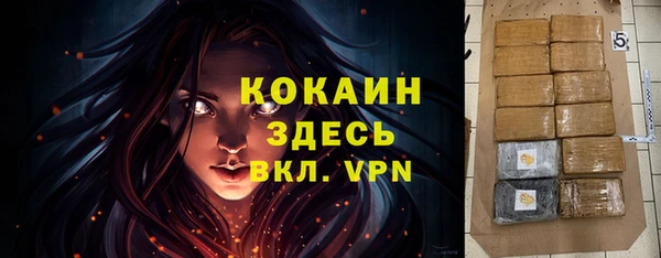 ешки Аркадак