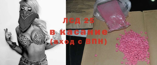 ешки Аркадак