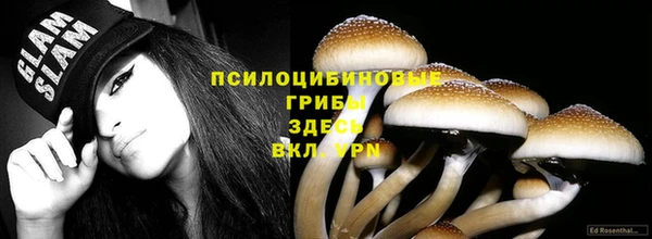 Альфа ПВП Баксан