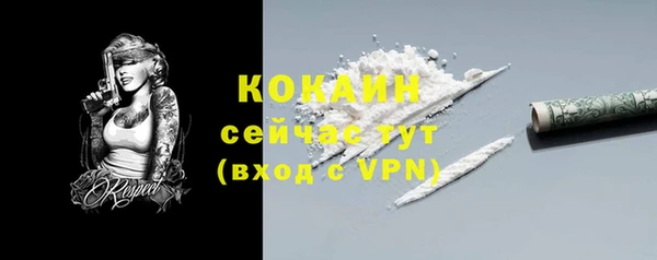 шишки Армянск