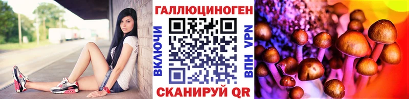 дарнет шоп  Кондрово  Псилоцибиновые грибы ЛСД 